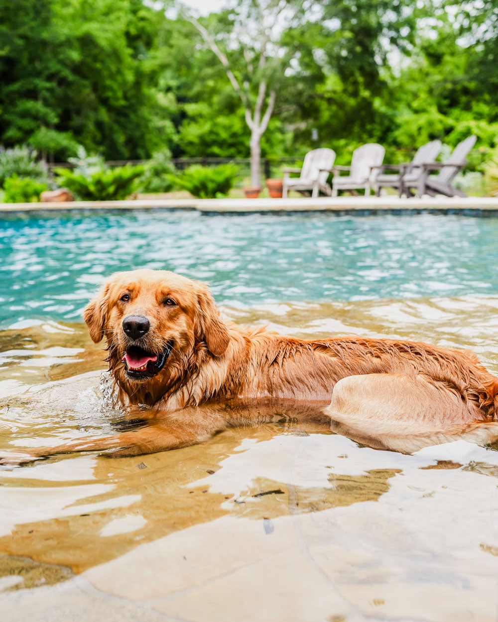 Aledo TX Pool Maintenance