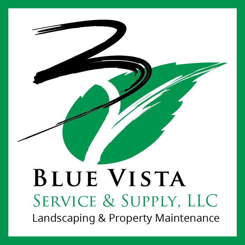Blue Vista Service & Supply, LLC